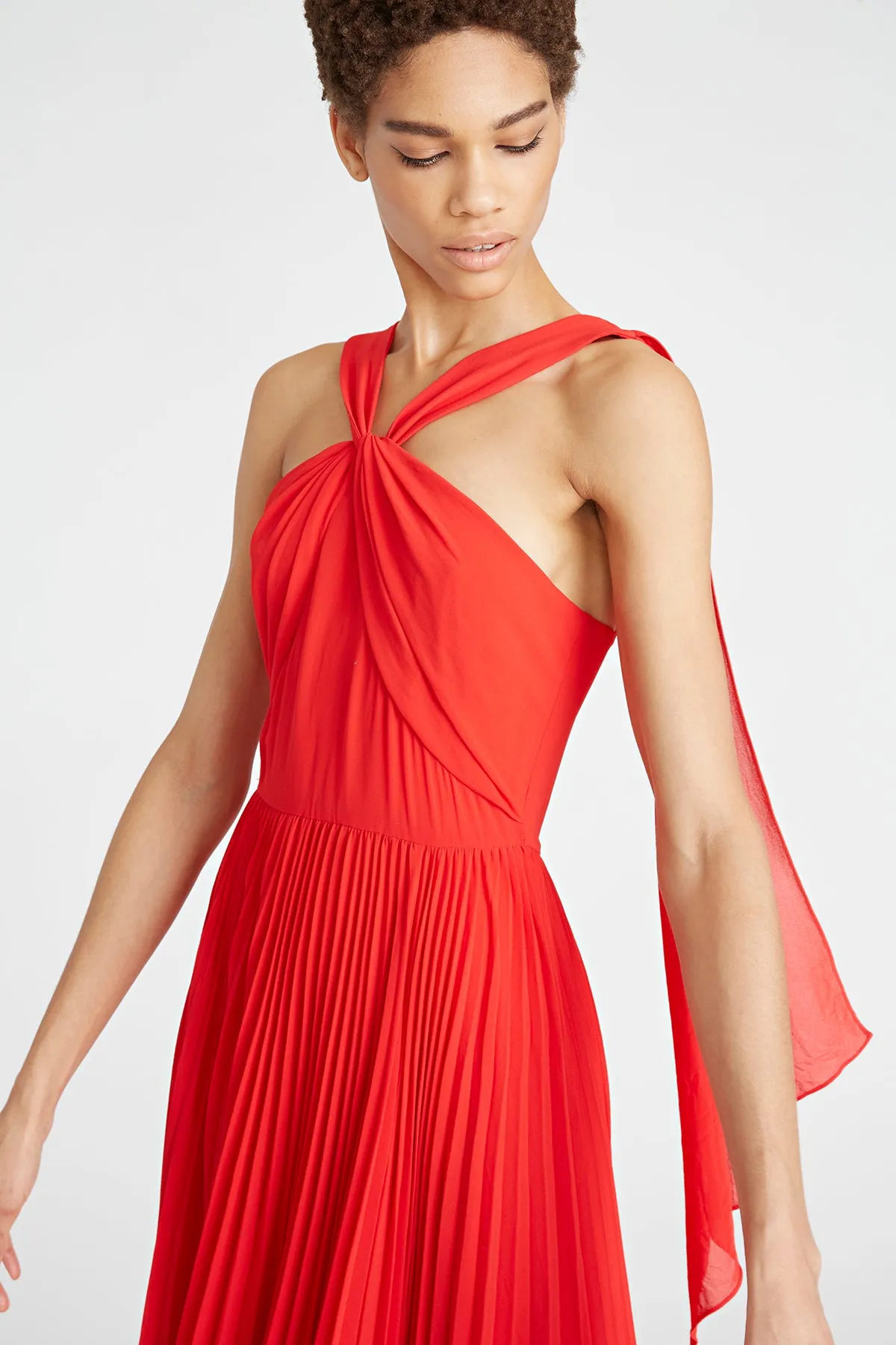 Peri Pleated Gown